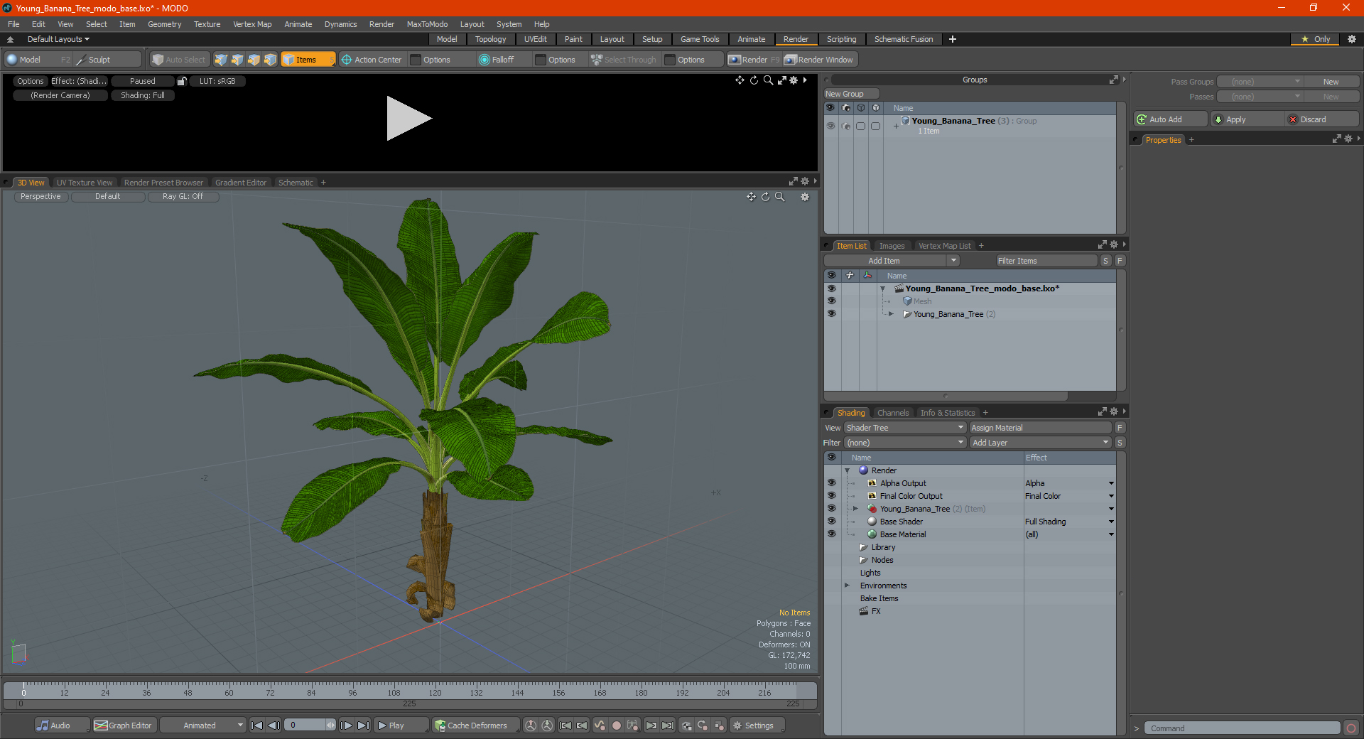 Young Banana Tree 3D