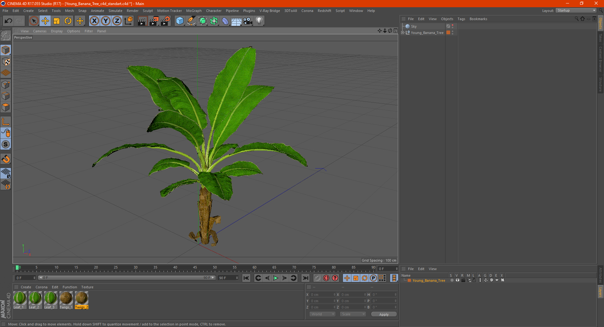 Young Banana Tree 3D