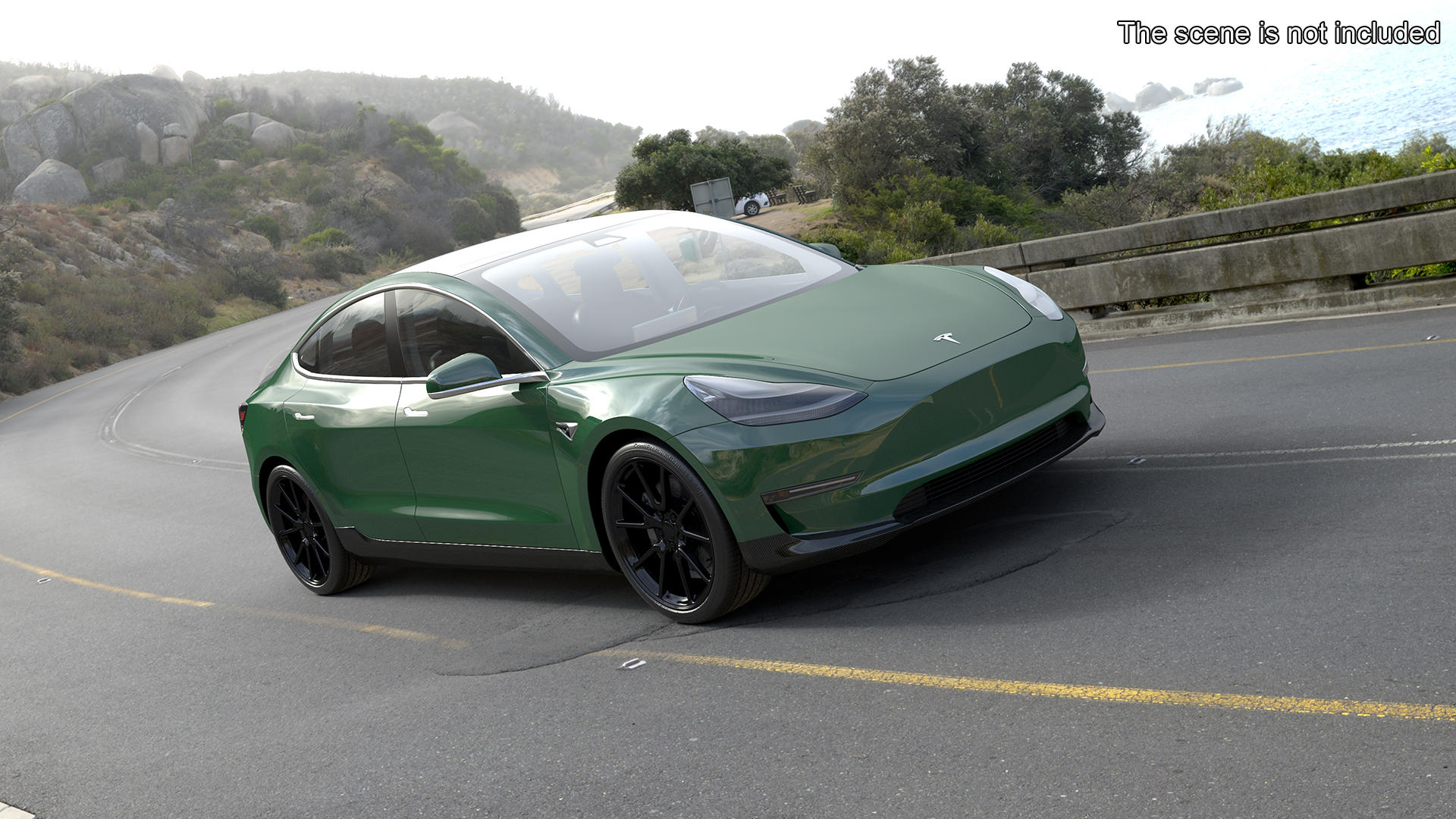 3D model Tesla Model 3 Carbon Fiber Sport Package