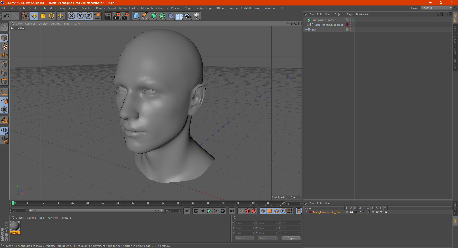 Male Mannequin Head 3D model