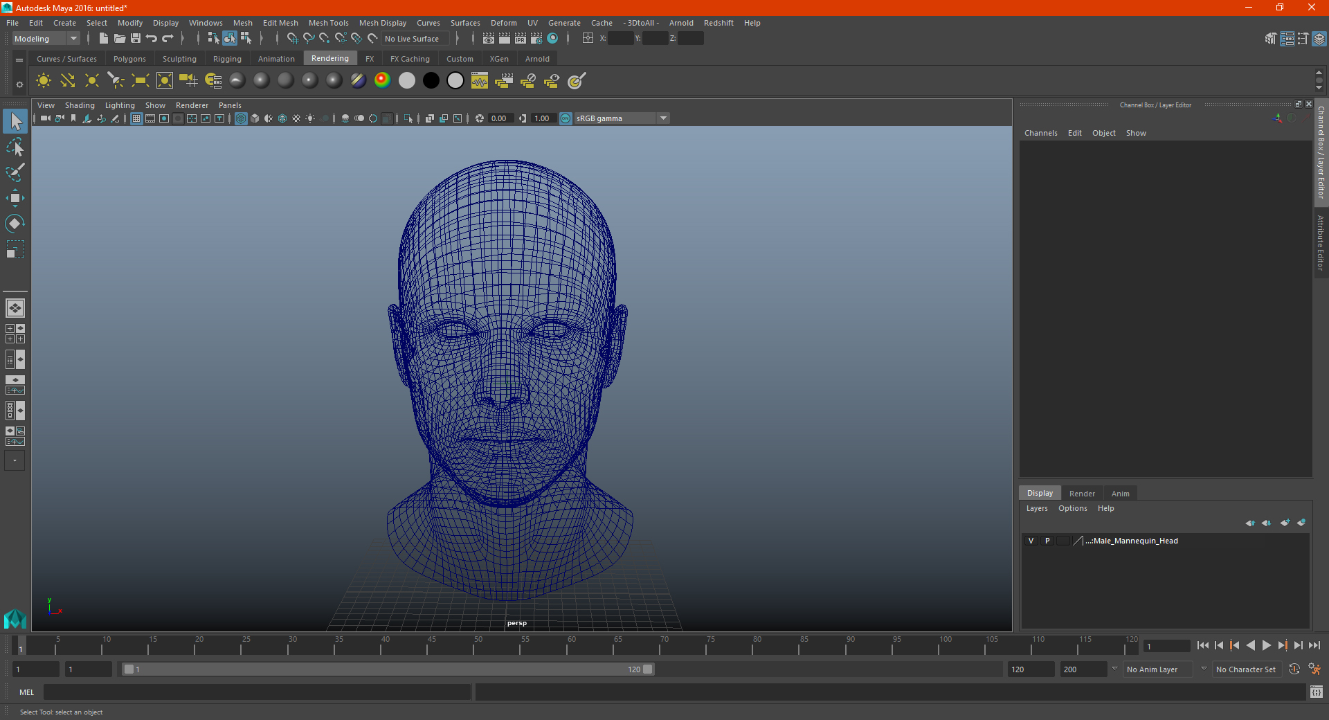 Male Mannequin Head 3D model