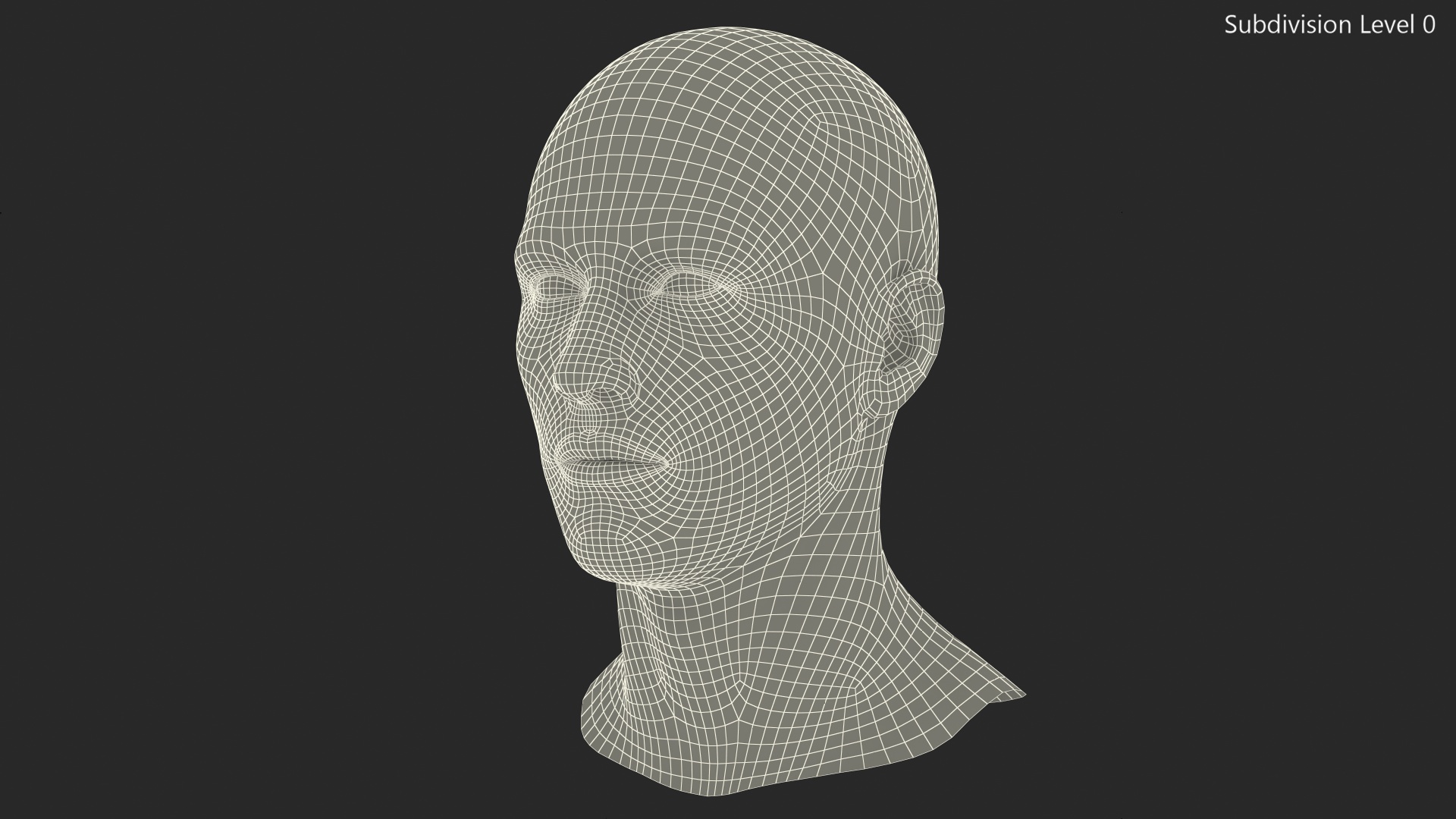 Male Mannequin Head 3D model