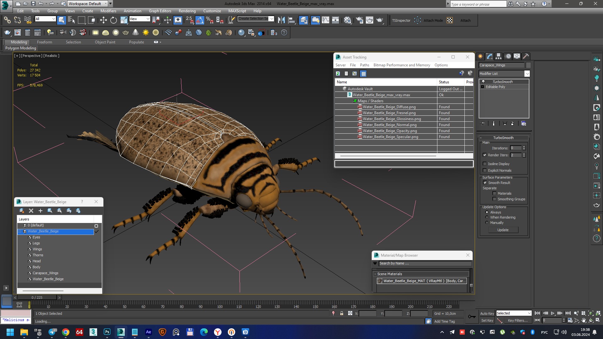 3D Water Beetle Beige model