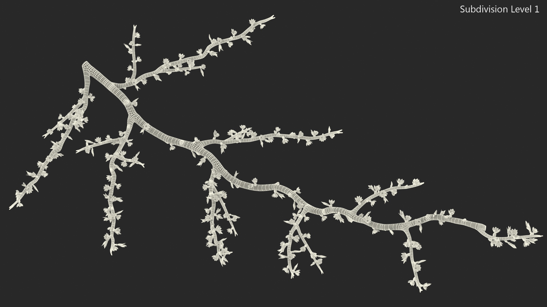 Naked Tree Branch 3D