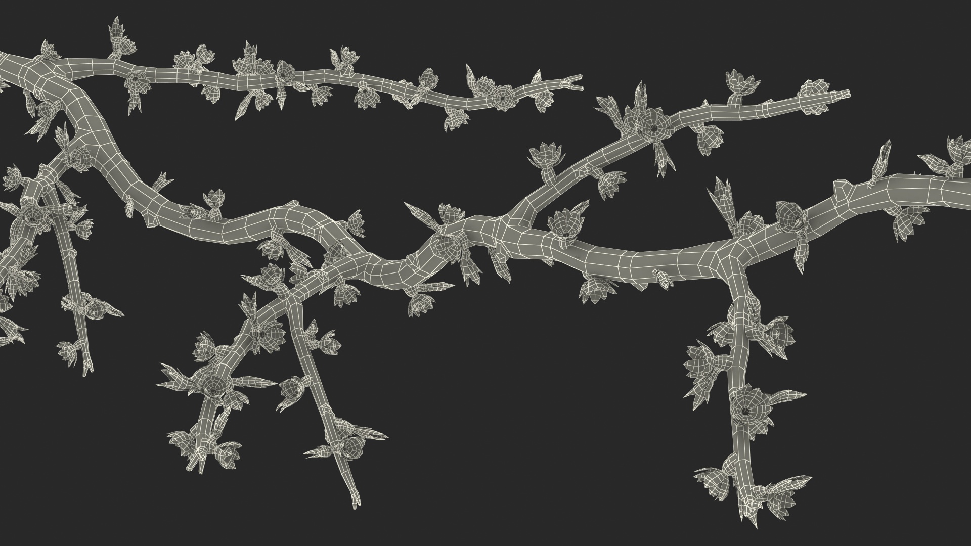 Naked Tree Branch 3D