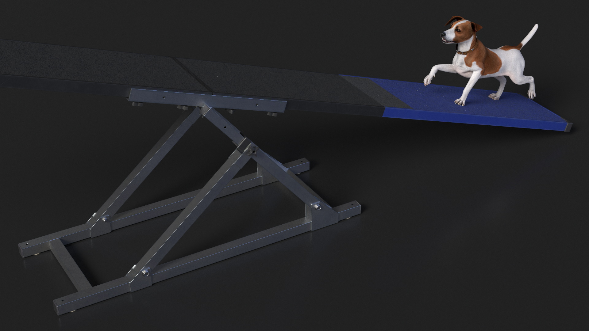 3D Dog Agility Seesaw and Jack Russell Terrier model