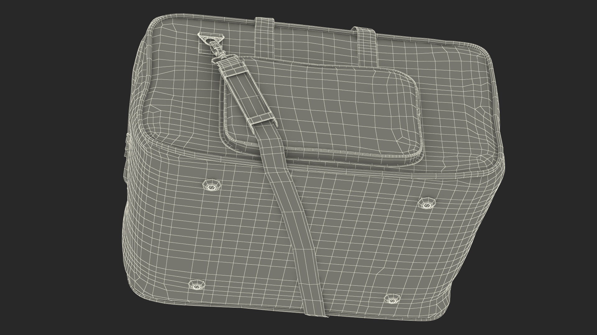 Lighting Bag 3D