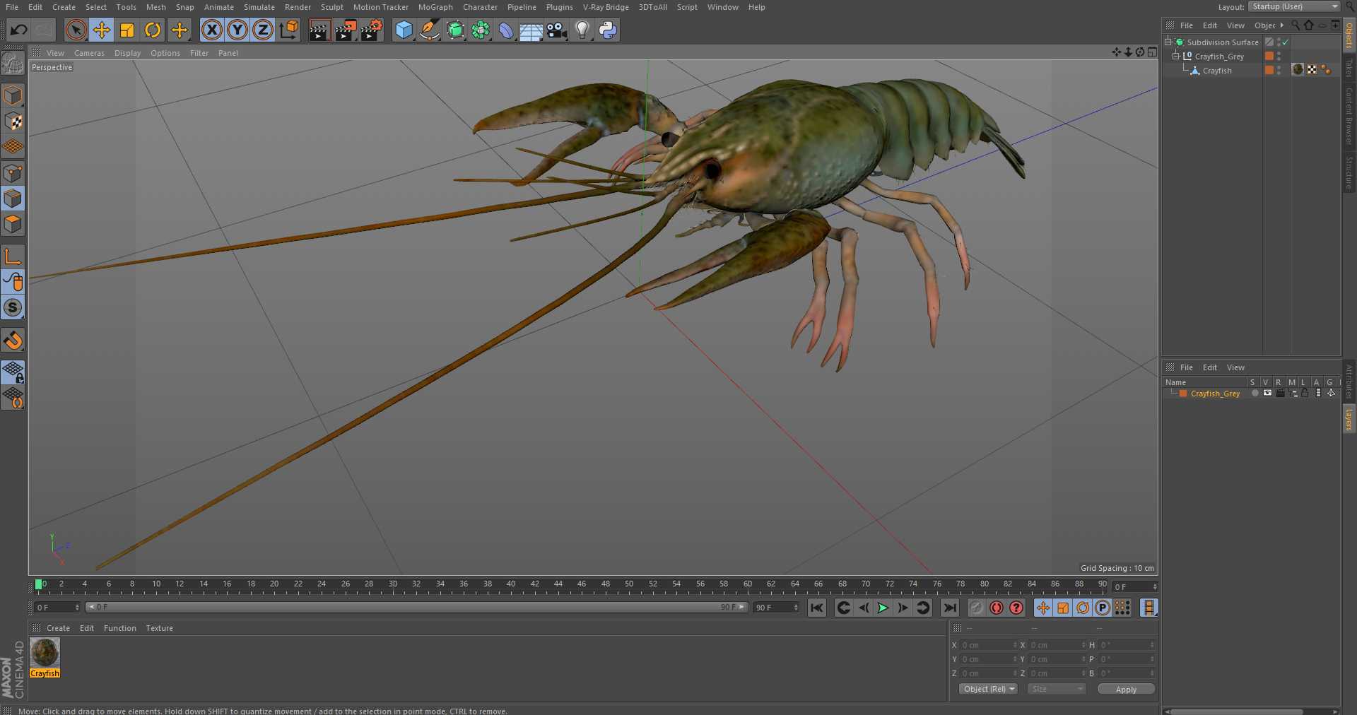 3D Crayfish Grey model