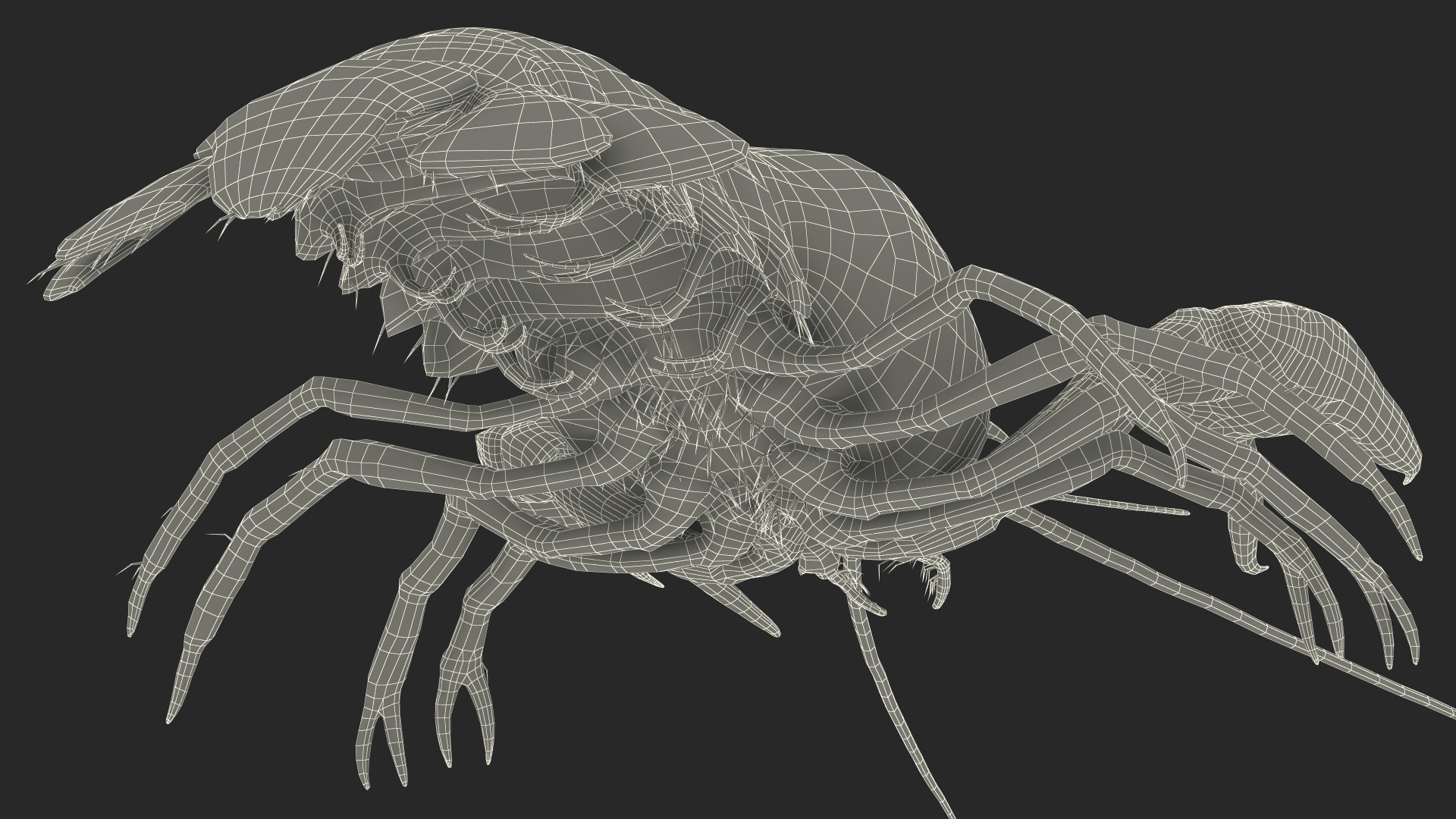 3D Crayfish Grey model