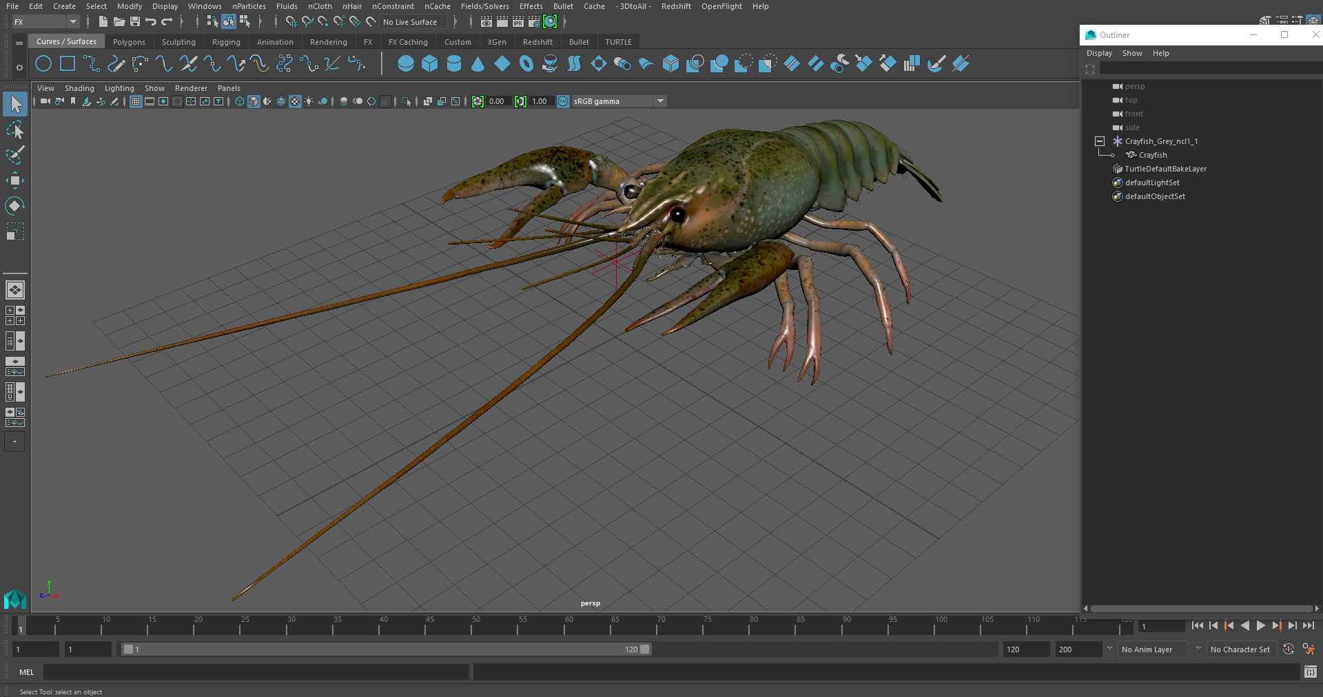 3D Crayfish Grey model