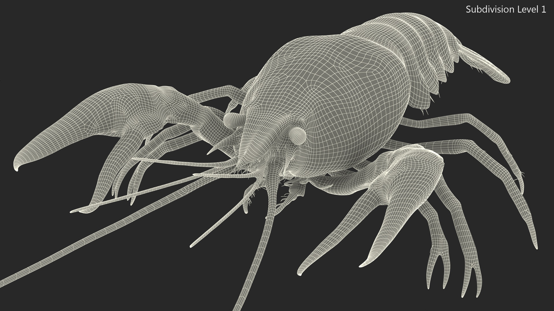 3D Crayfish Grey model