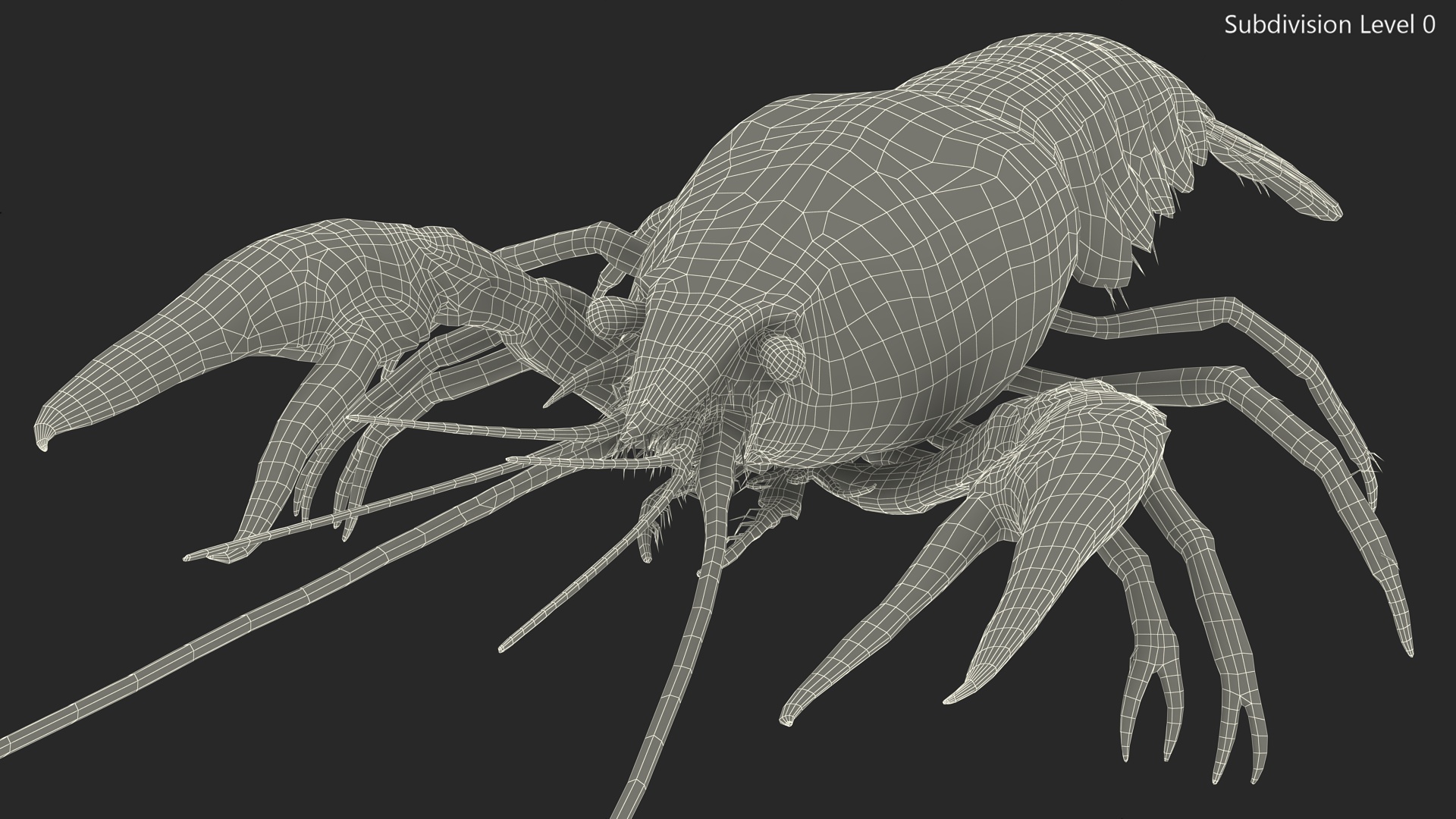 3D Crayfish Grey model