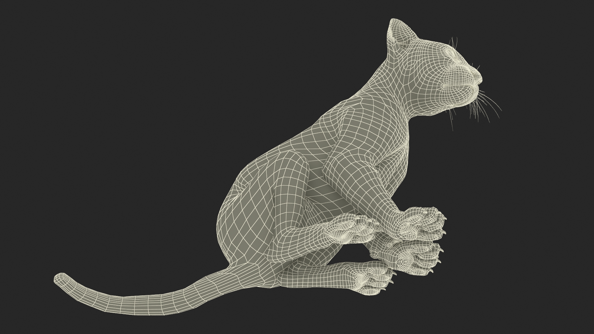 Leopard Cub Sitting Pose 3D model