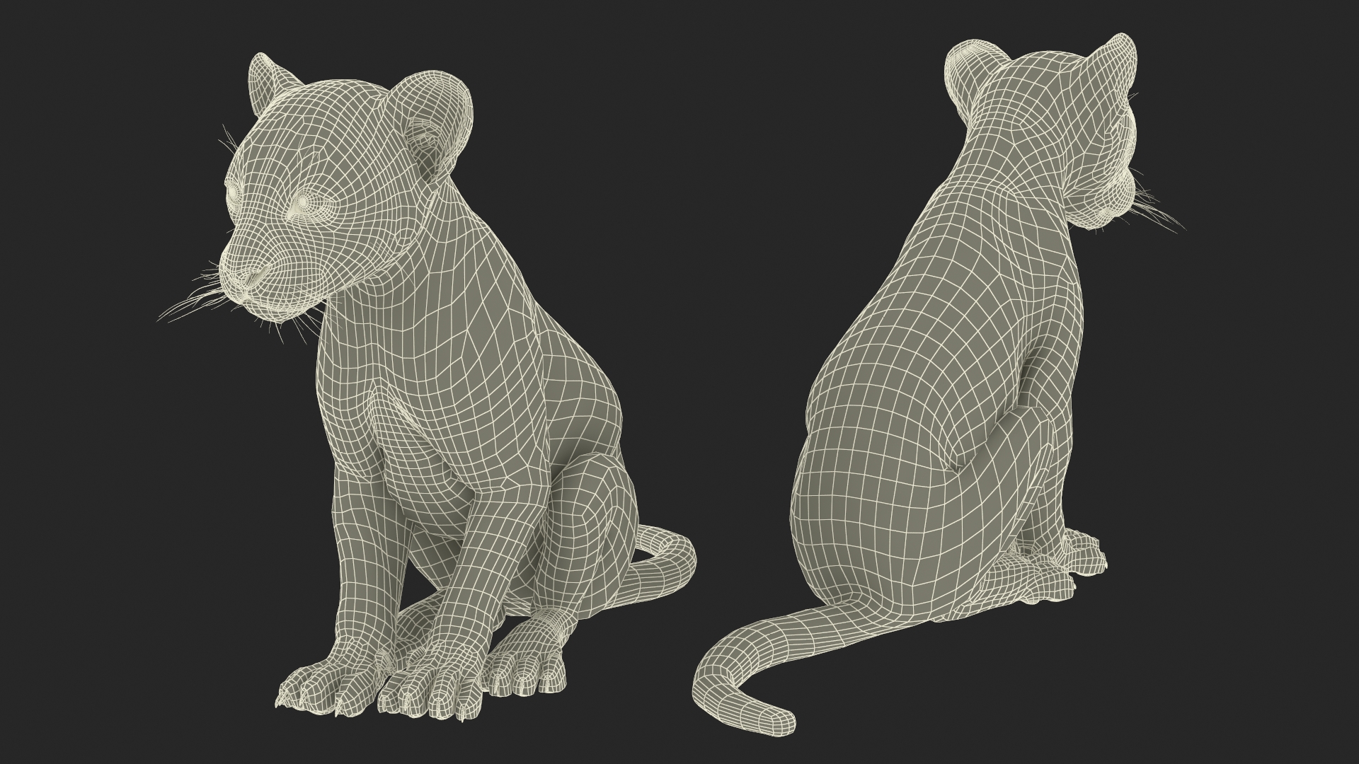 Leopard Cub Sitting Pose 3D model