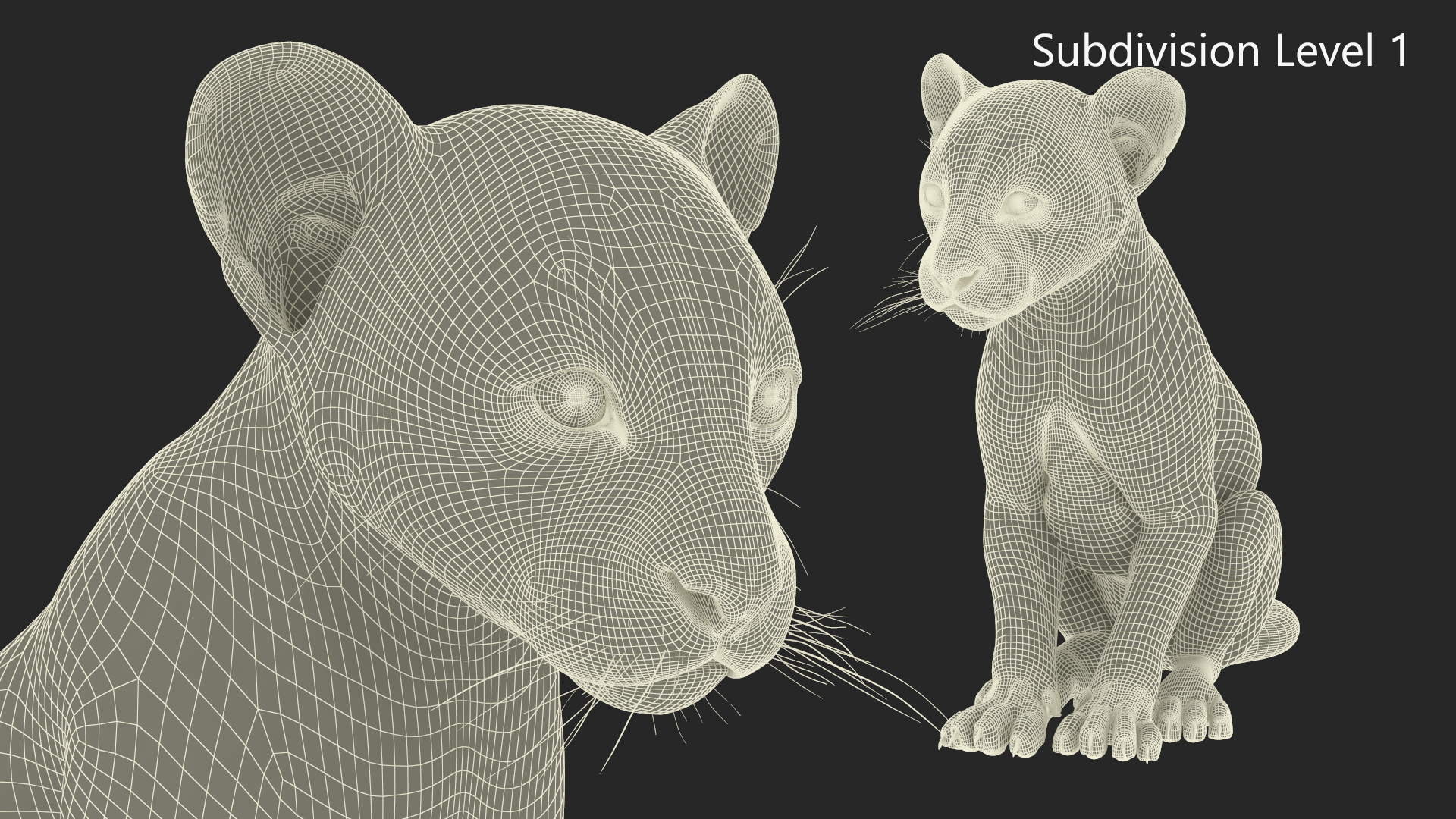 Leopard Cub Sitting Pose 3D model