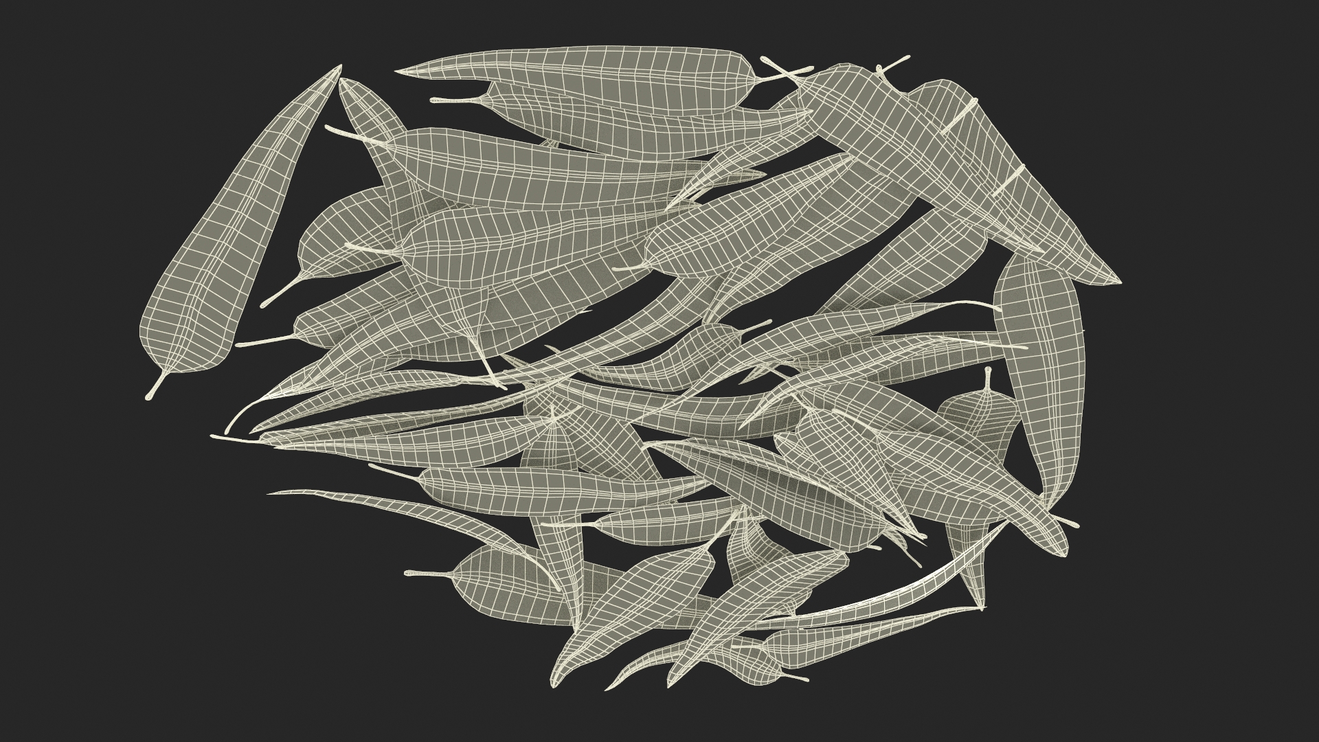 Heap of Dry Eucalyptus Leaves 3D model