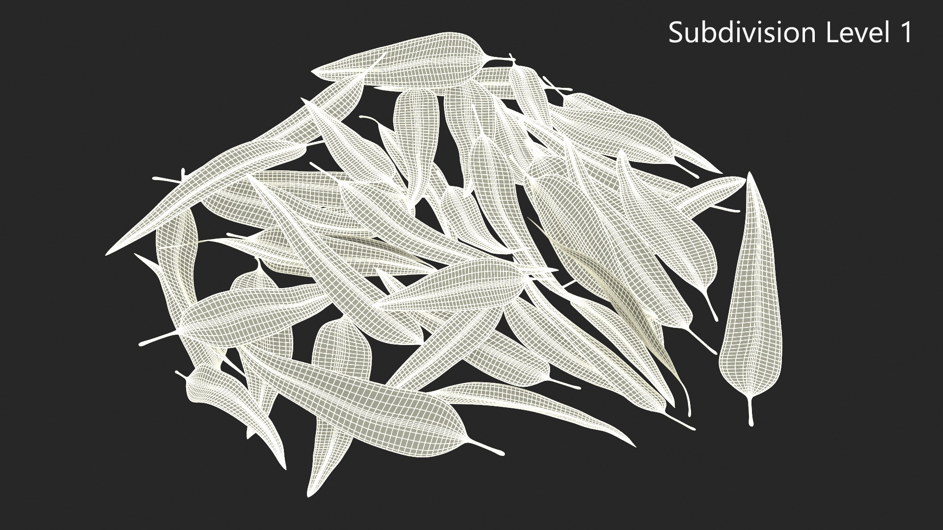 Heap of Dry Eucalyptus Leaves 3D model