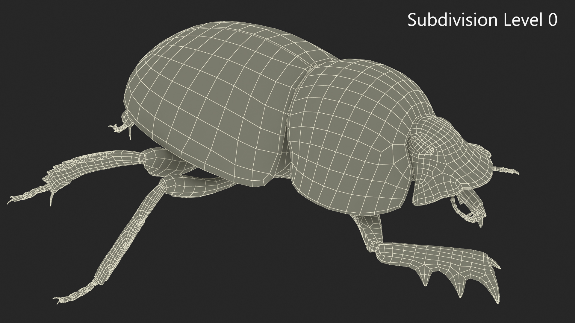 3D model Dung Beetle Crawling Dirt