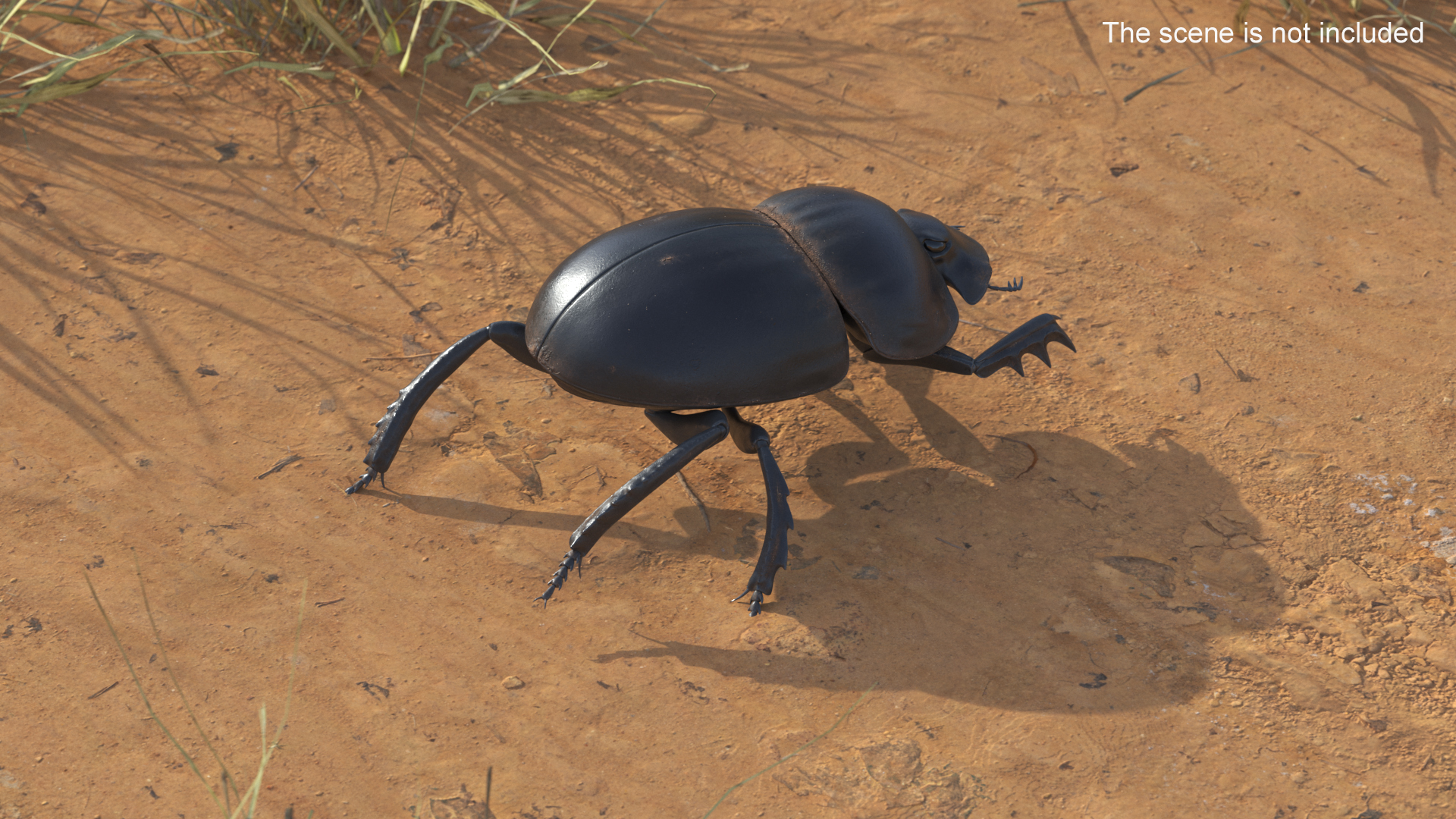 3D model Dung Beetle Crawling Dirt