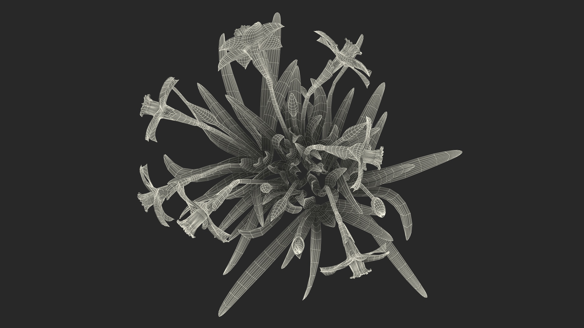 3D model Narcissus Flowers Growing