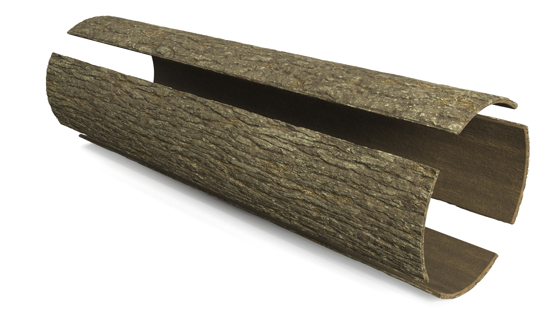 Structure of Wood Bark 3D