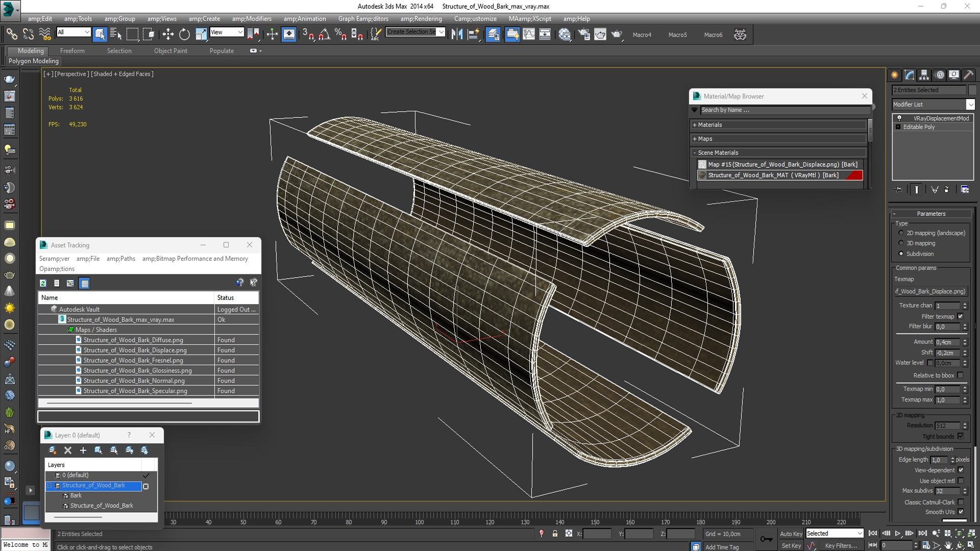 Structure of Wood Bark 3D