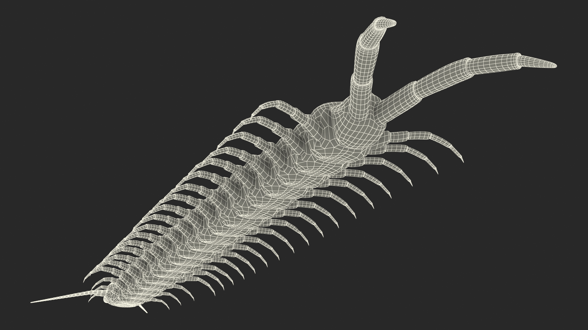 3D model Scolopendra Subspinipes Rigged