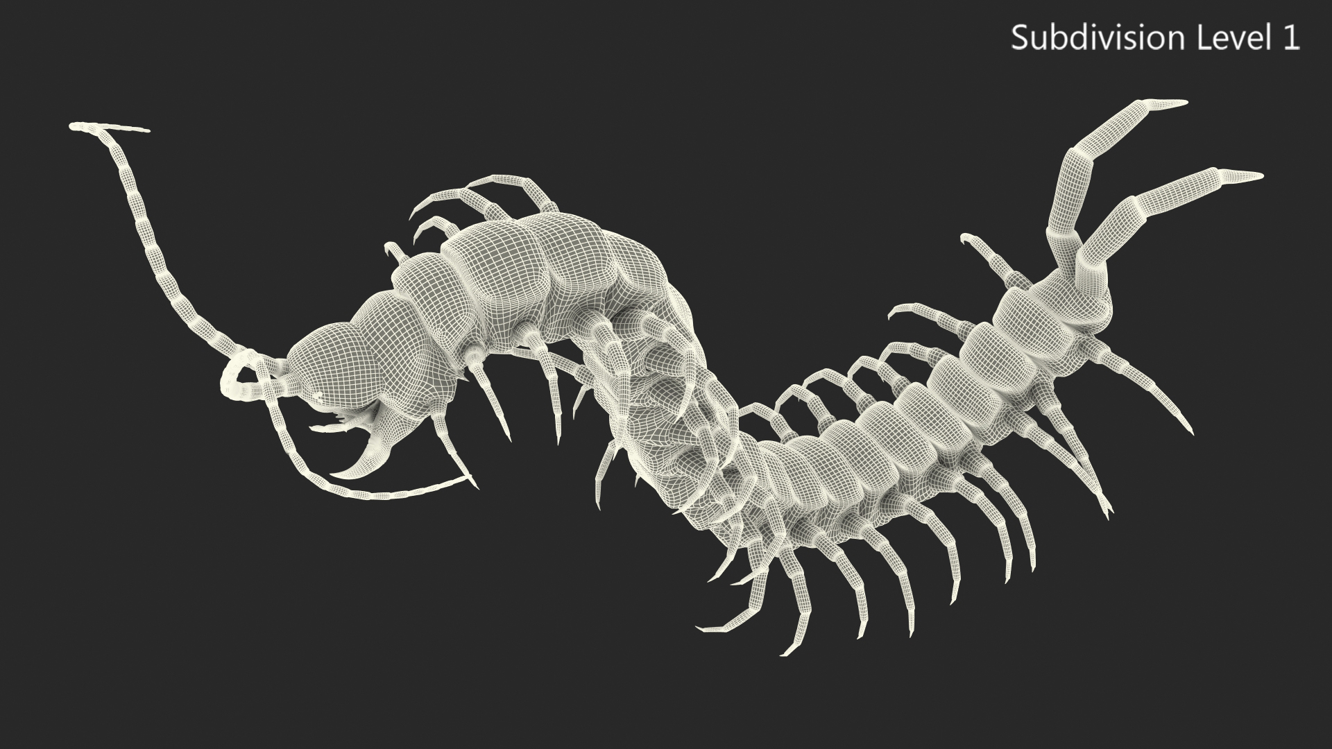 3D model Scolopendra Subspinipes Rigged