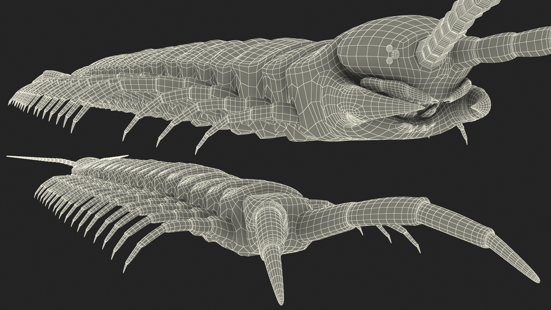 3D model Scolopendra Subspinipes Rigged