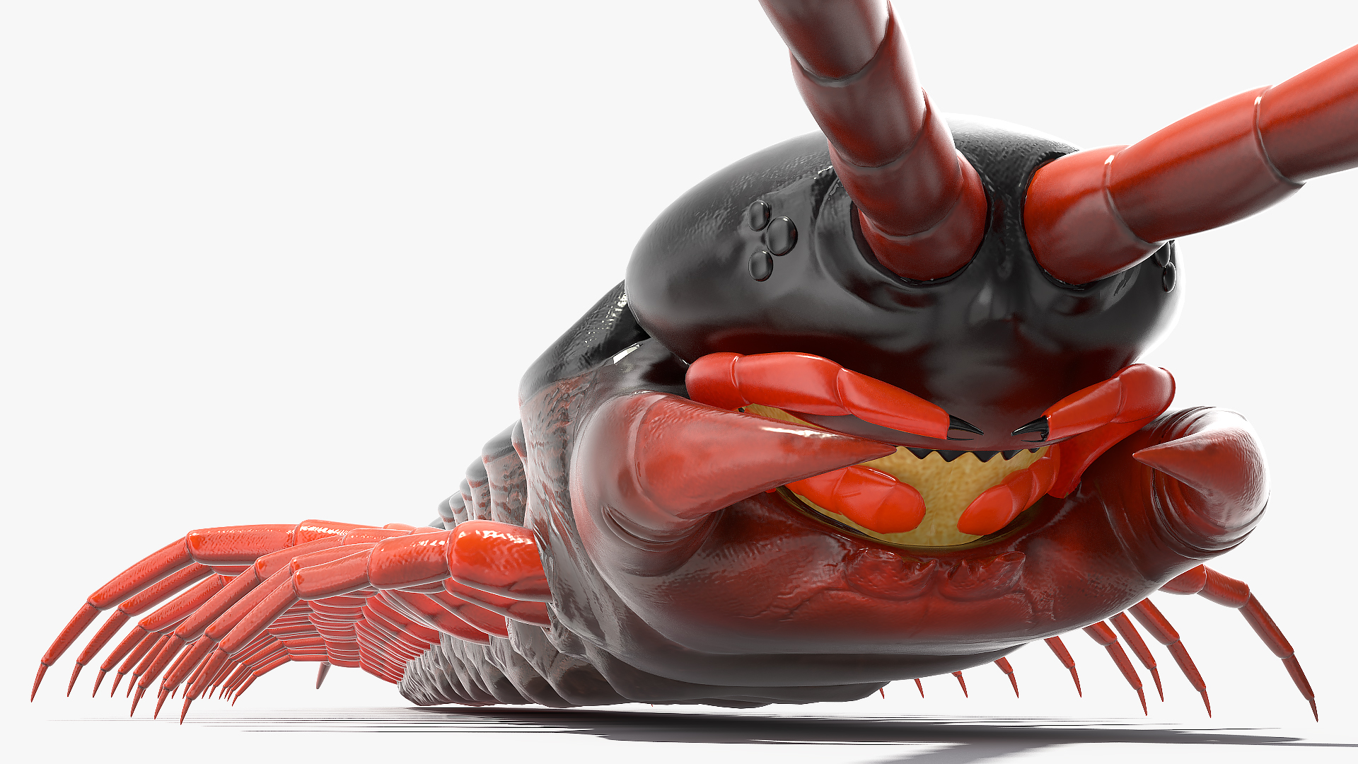 3D model Scolopendra Subspinipes Rigged