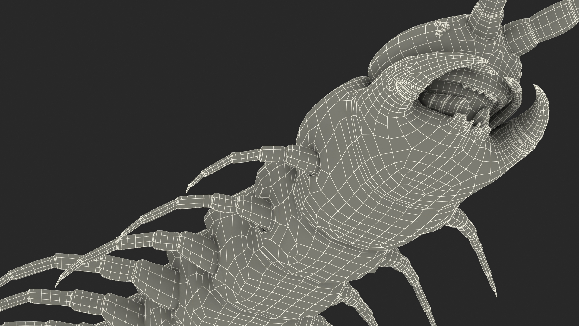 3D model Scolopendra Subspinipes Rigged