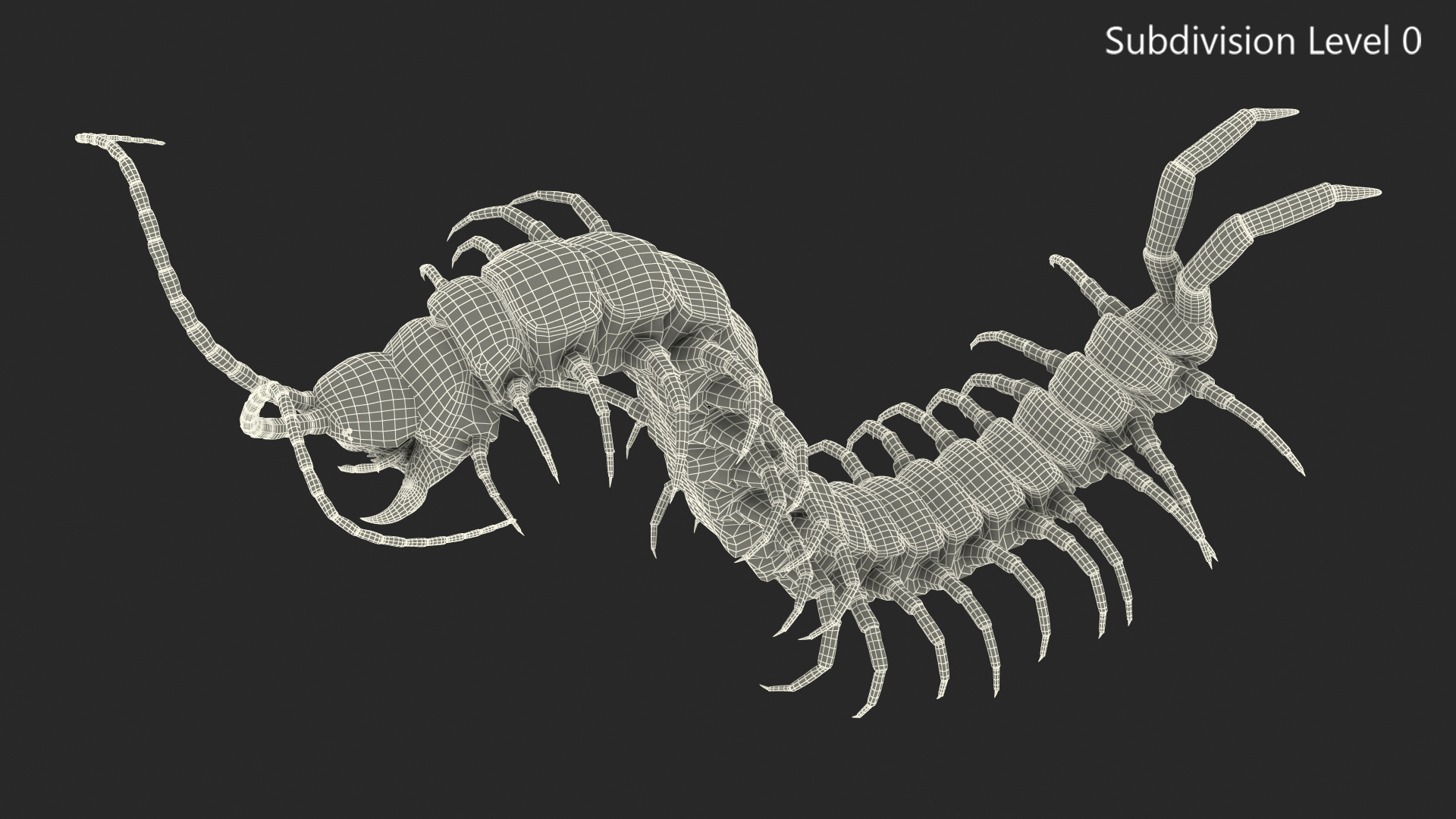 3D model Scolopendra Subspinipes Rigged