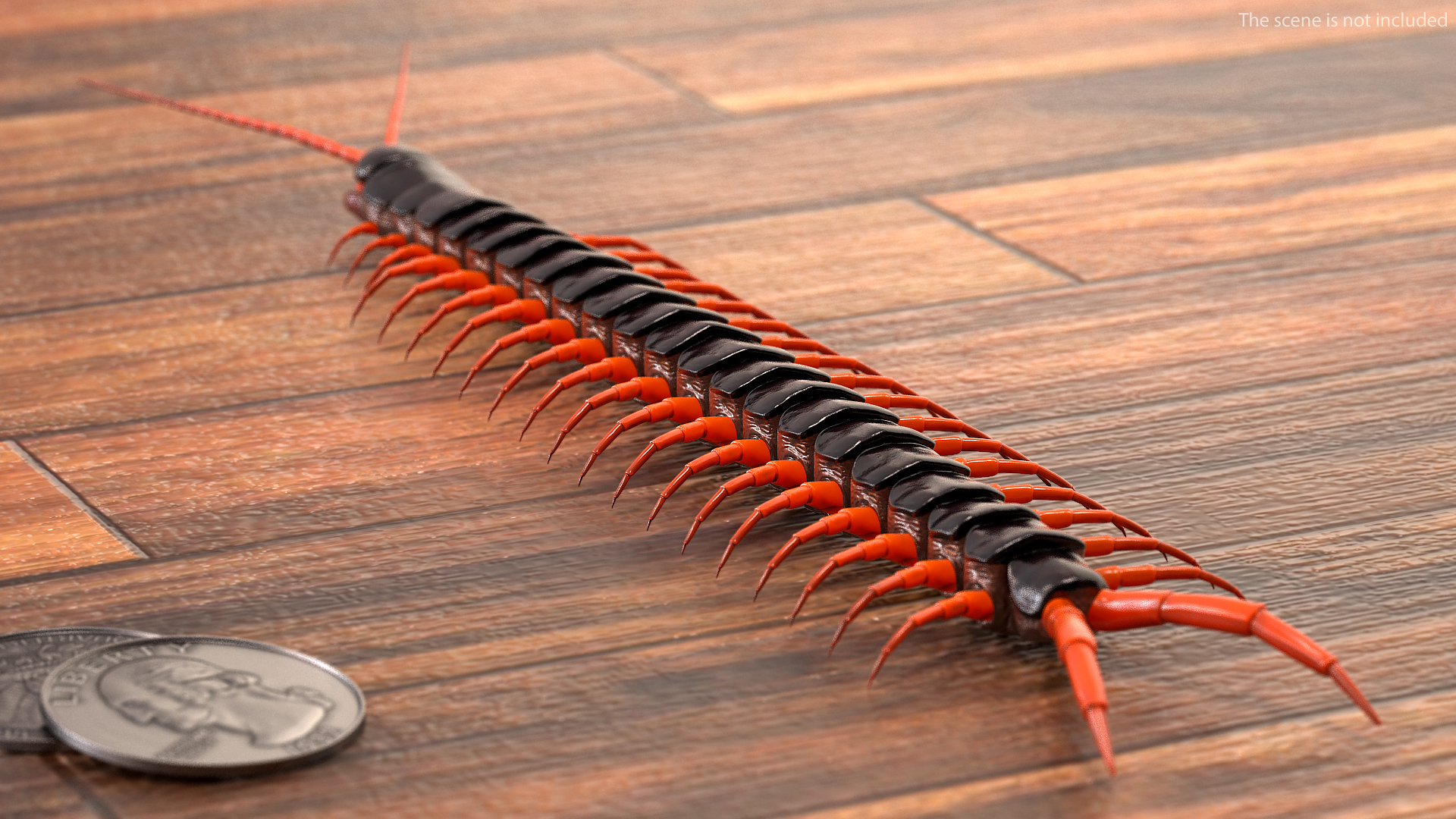 3D model Scolopendra Subspinipes Rigged