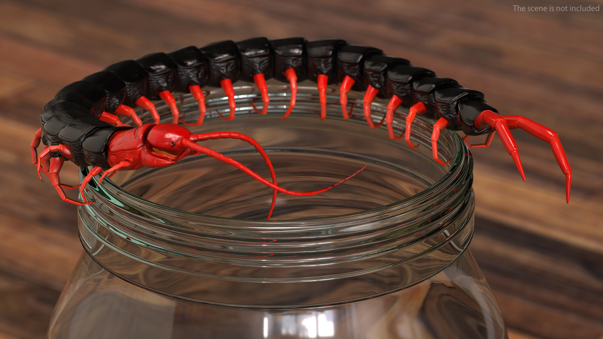 3D model Scolopendra Subspinipes Rigged