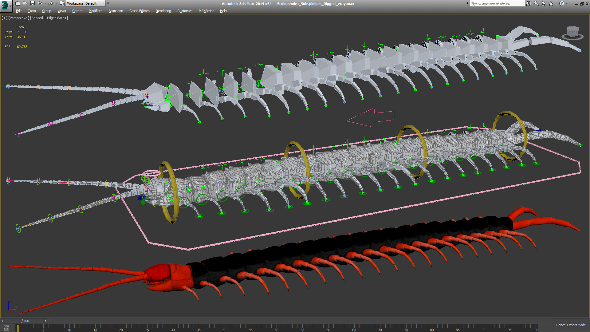 3D model Scolopendra Subspinipes Rigged