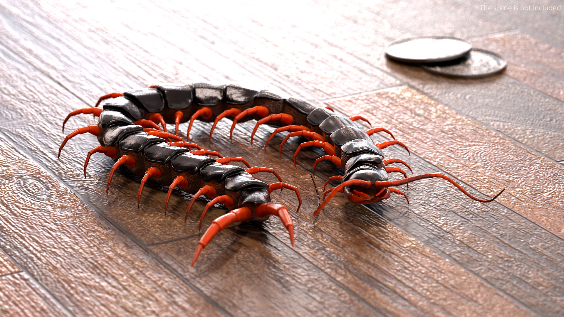 3D model Scolopendra Subspinipes Rigged