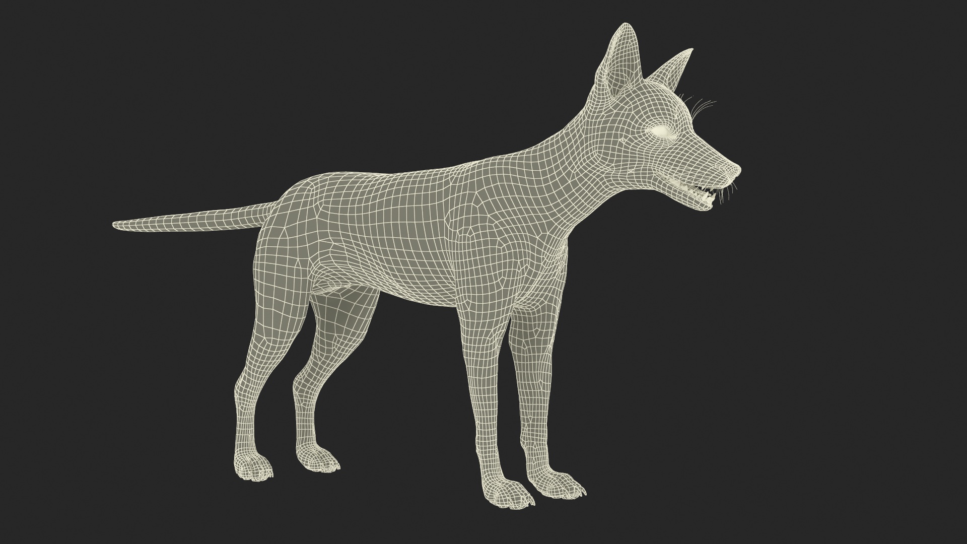 Vulpes Vulpes Basic Pose 3D model