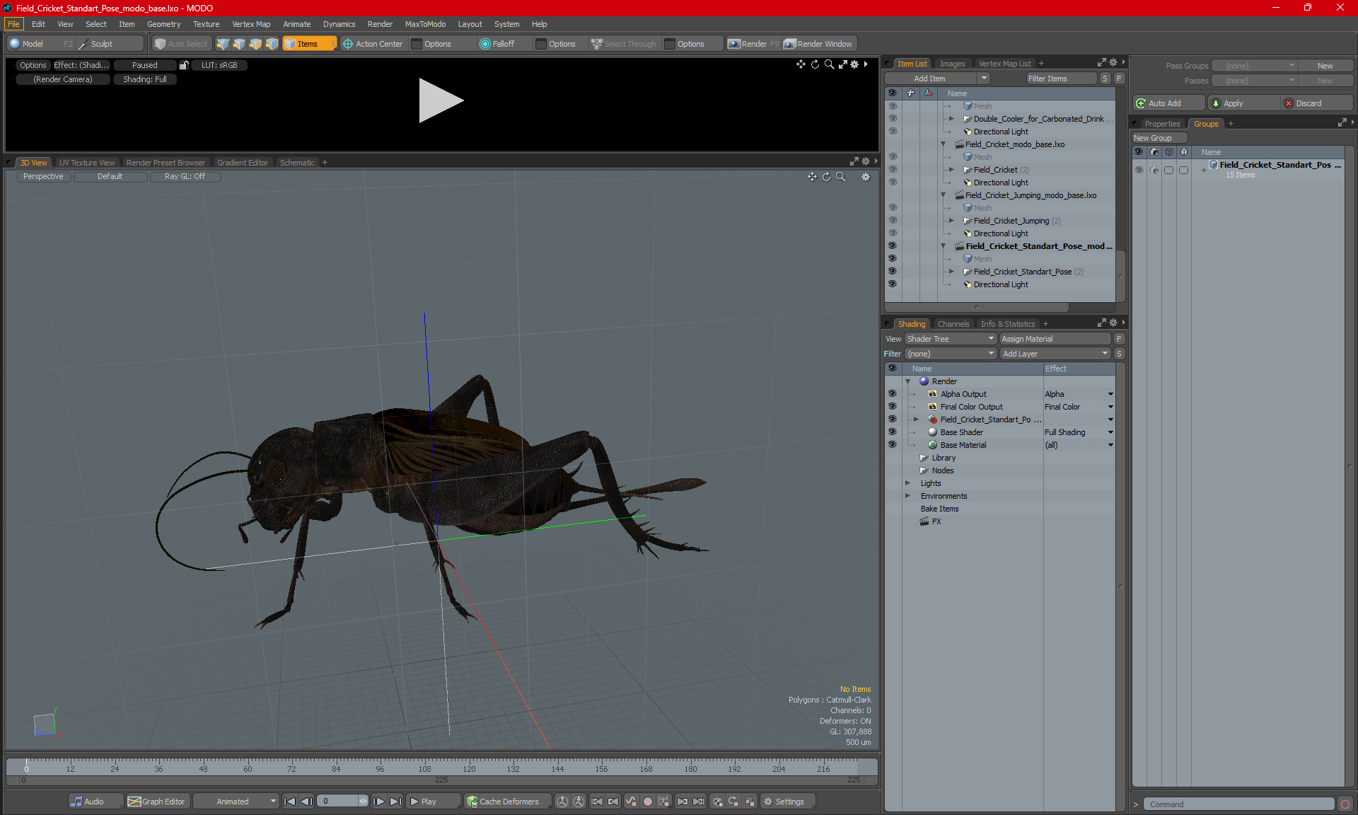 Field Cricket Standart Pose 3D