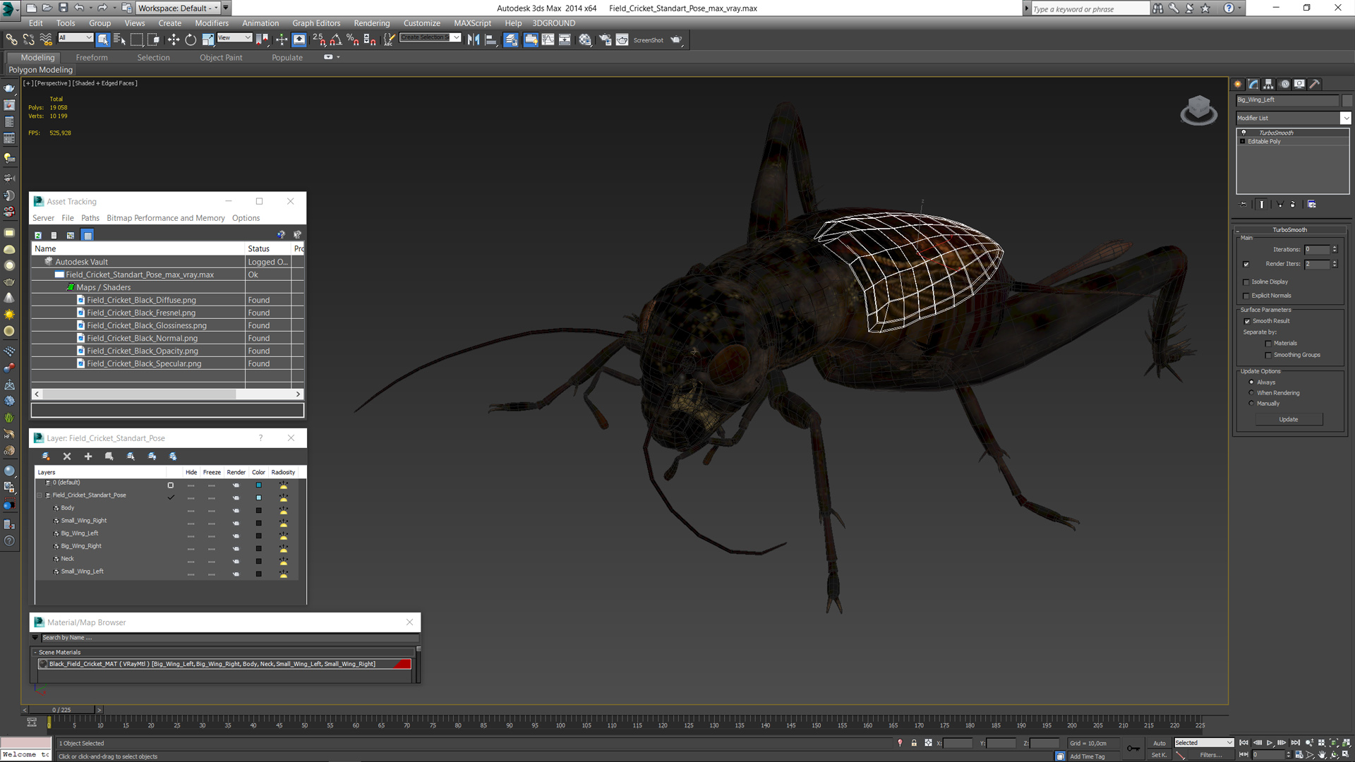 Field Cricket Standart Pose 3D