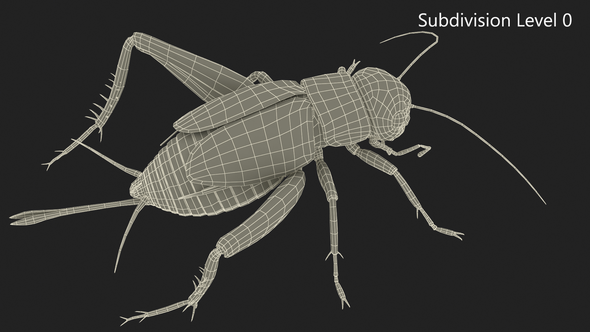 Field Cricket Standart Pose 3D