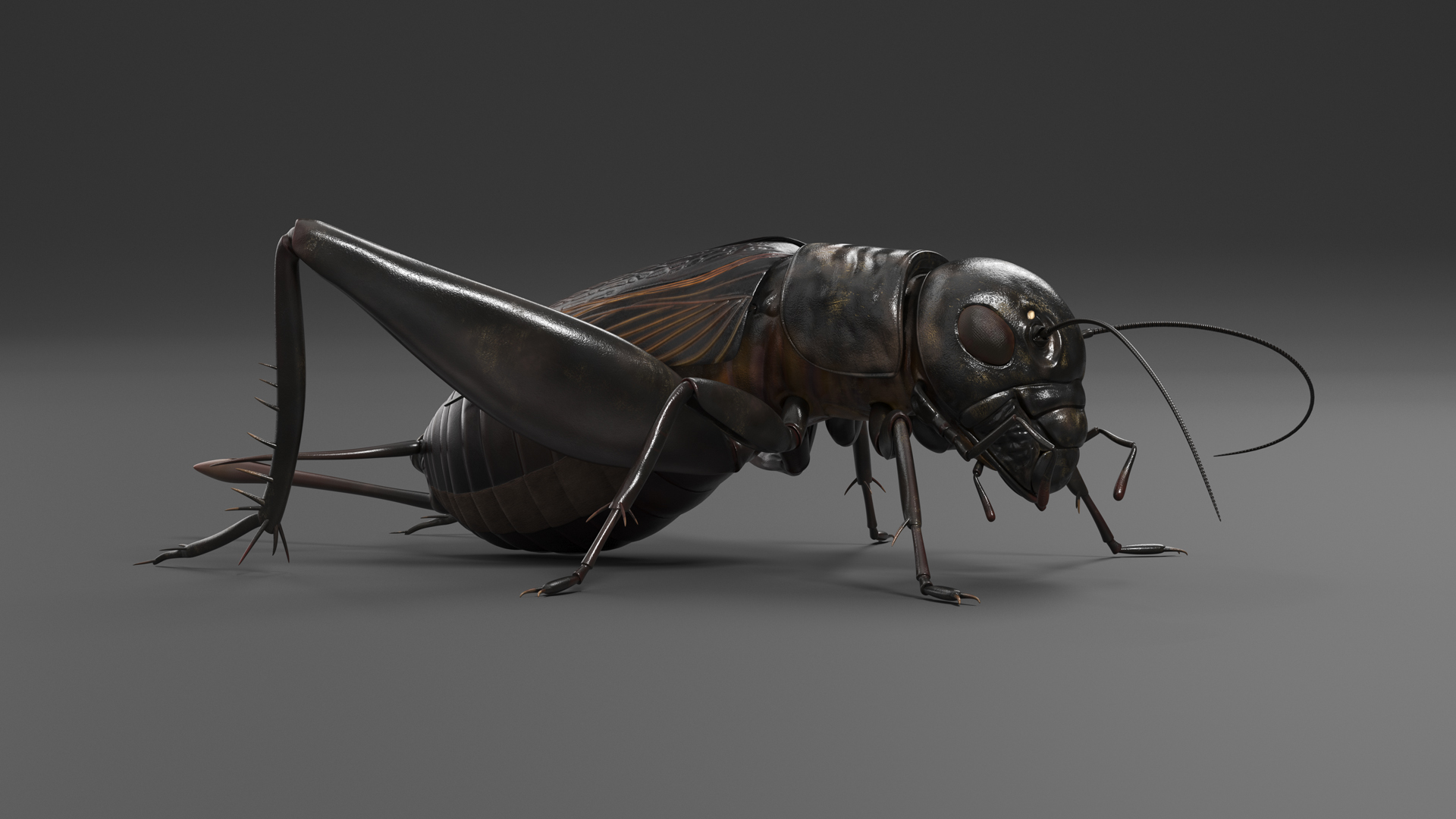 Field Cricket Standart Pose 3D