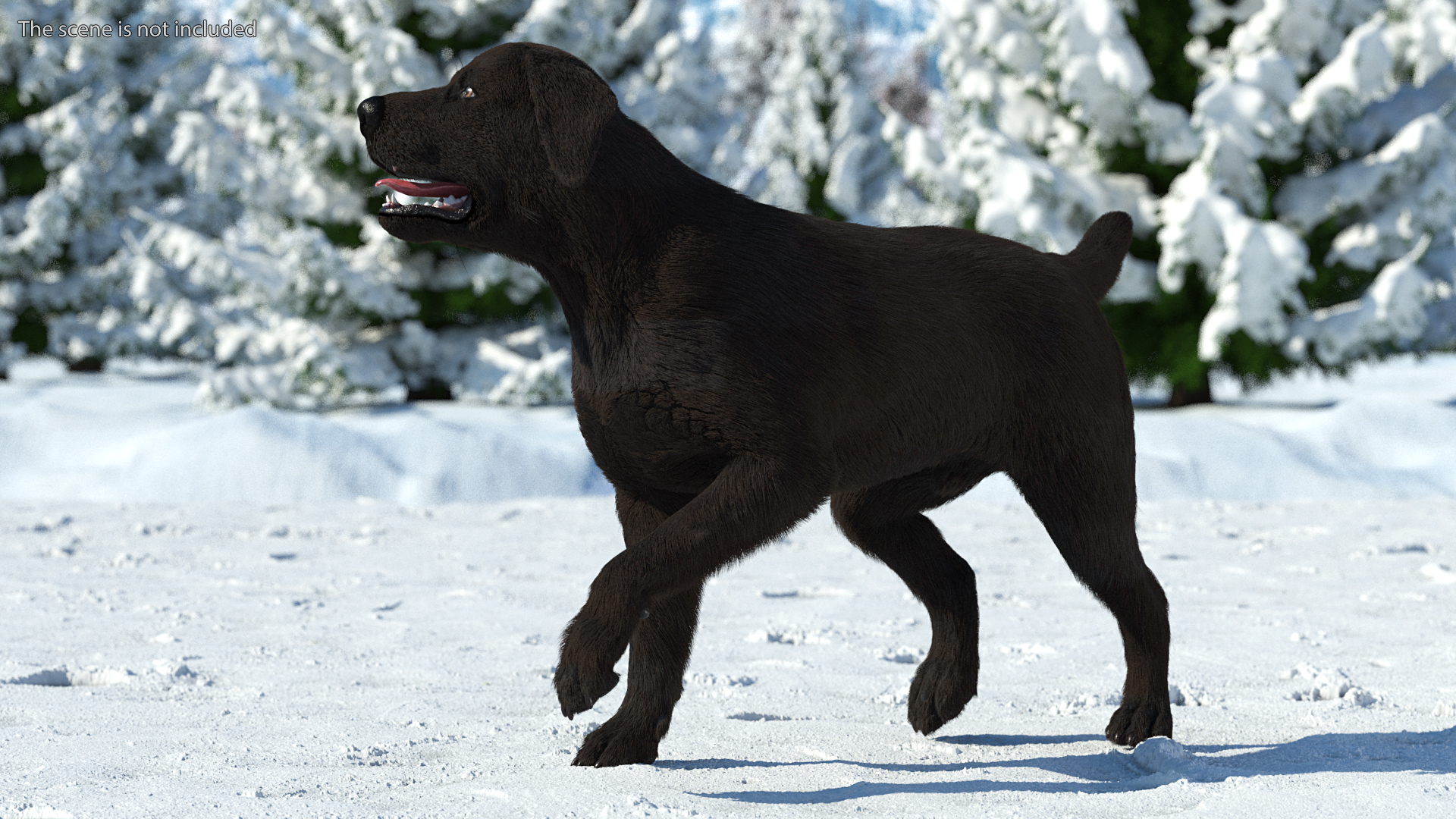 3D model Labrador Dog Black Walking Fur