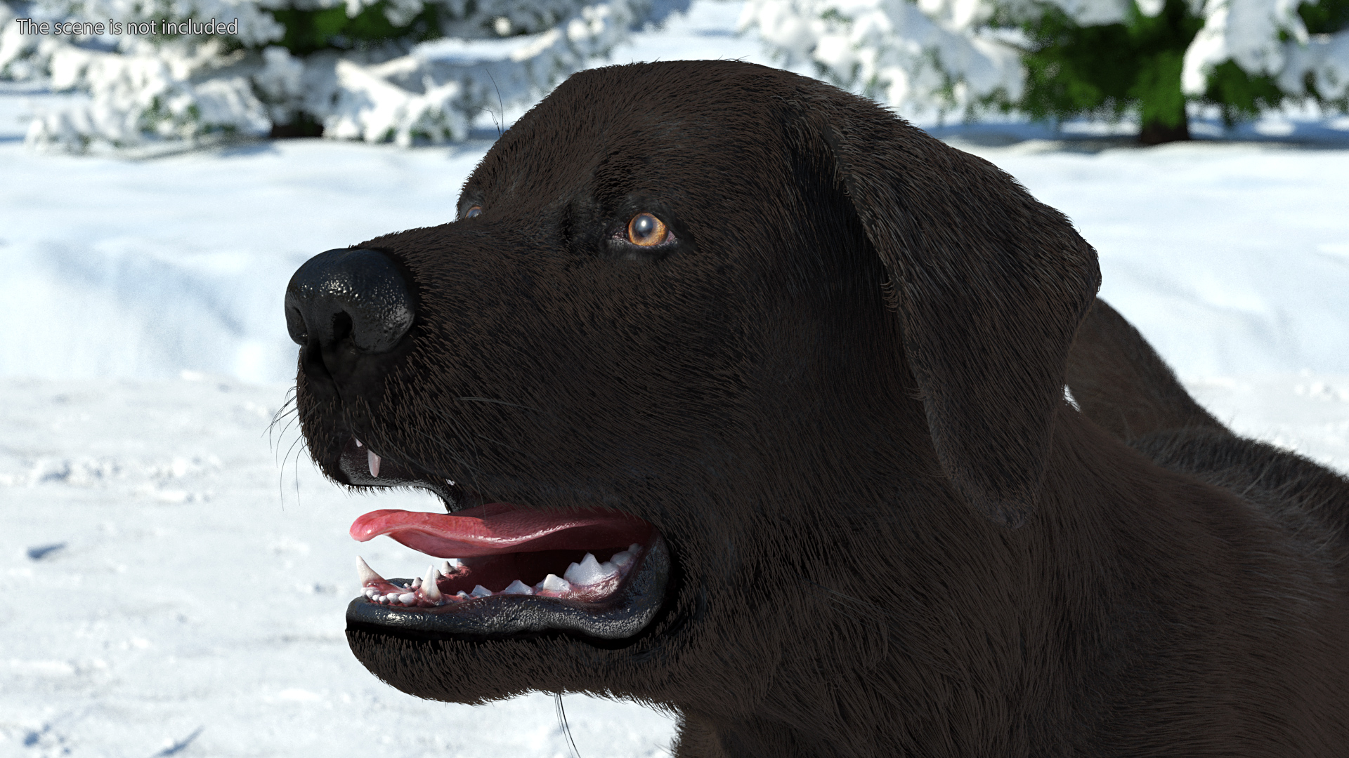 3D model Labrador Dog Black Walking Fur