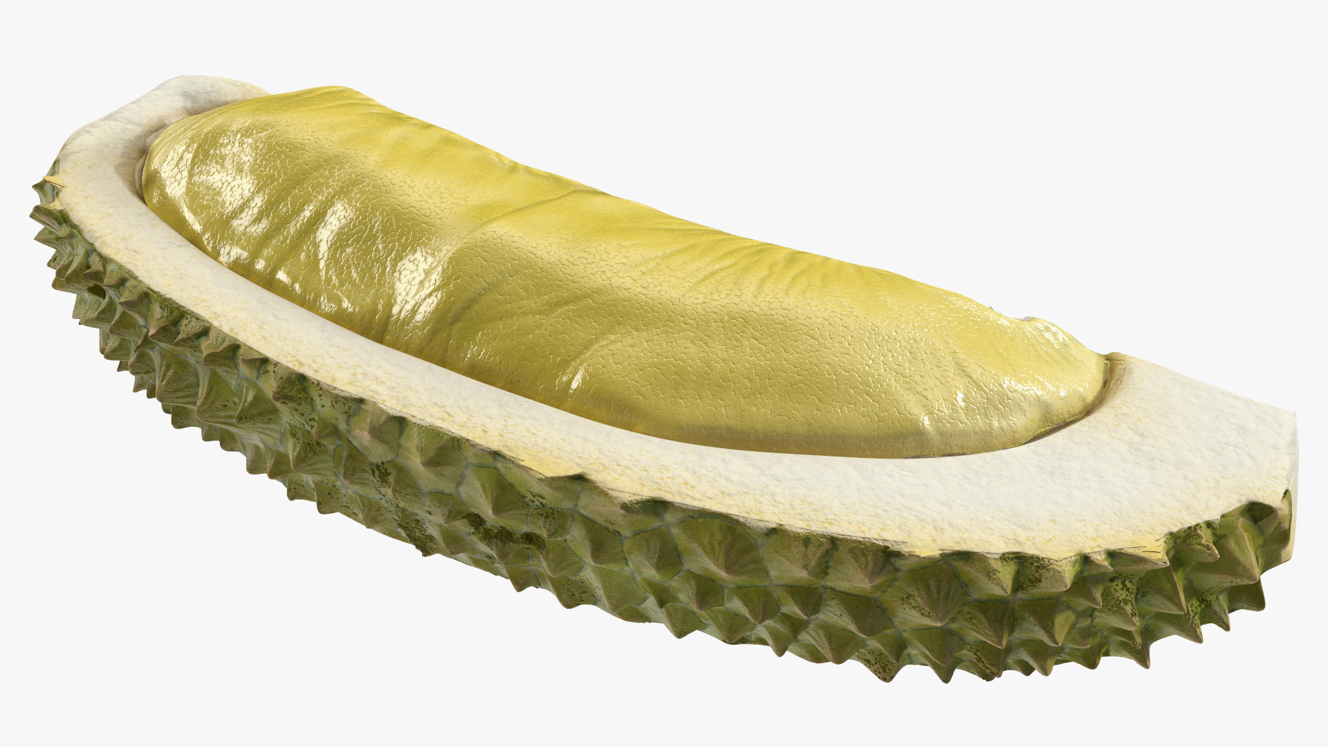 3D model Fresh Riped Durian Fruit Slice