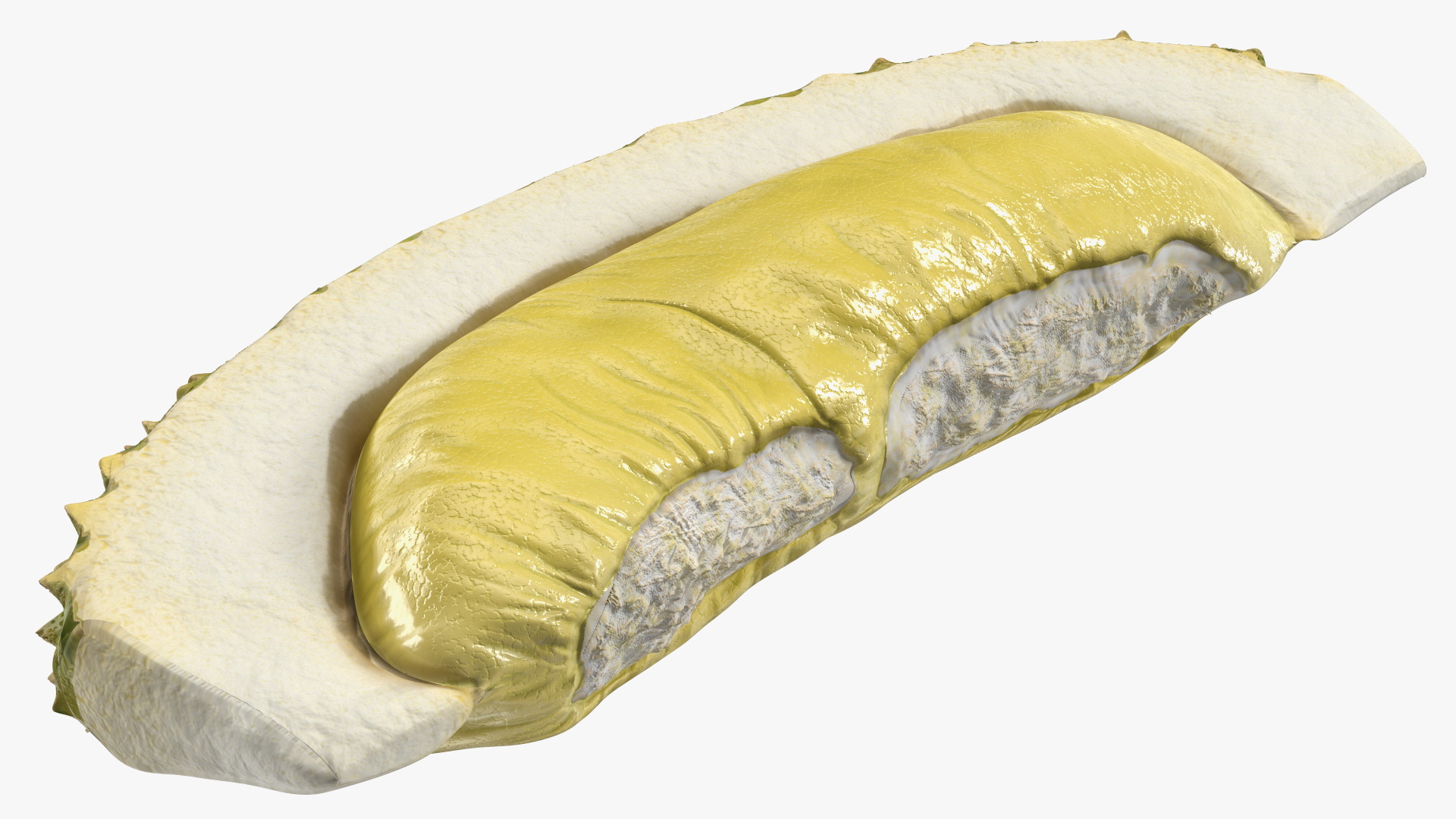 3D model Fresh Riped Durian Fruit Slice