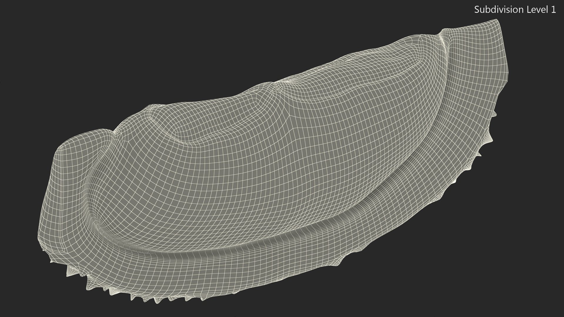 3D model Fresh Riped Durian Fruit Slice