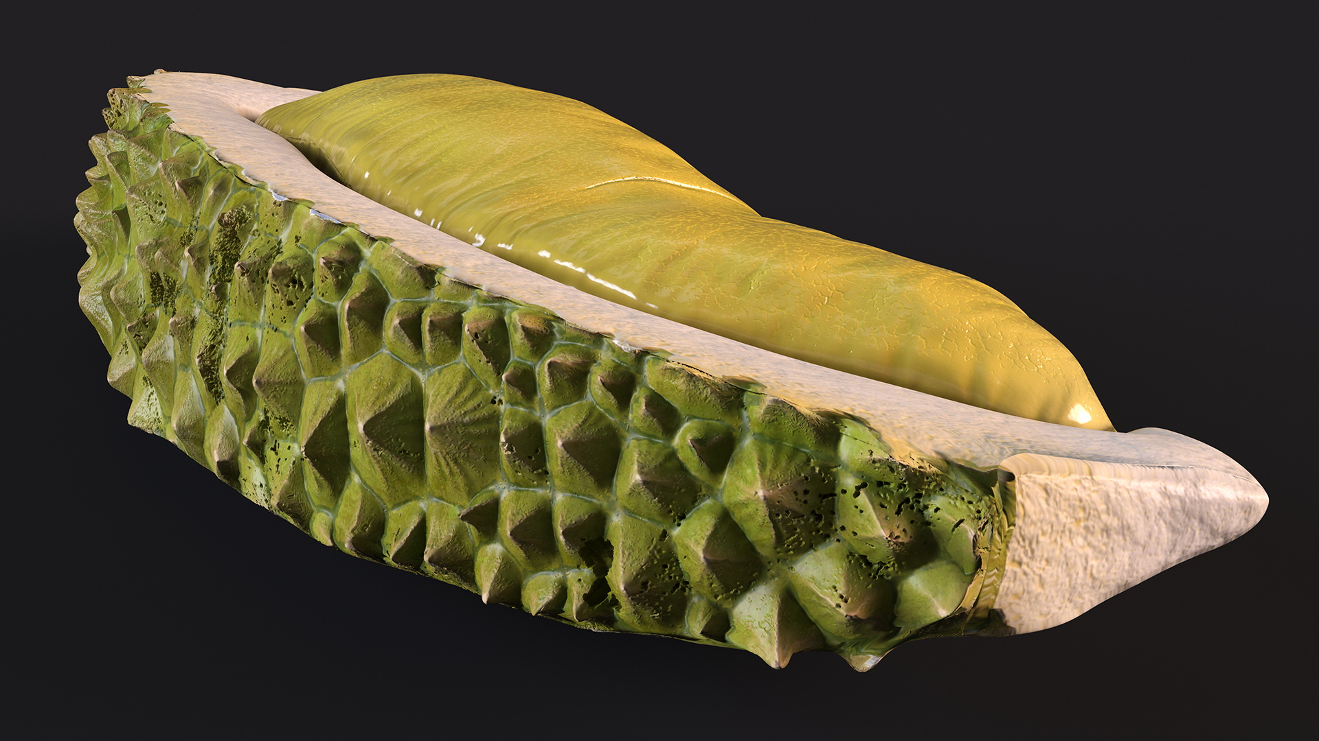 3D model Fresh Riped Durian Fruit Slice