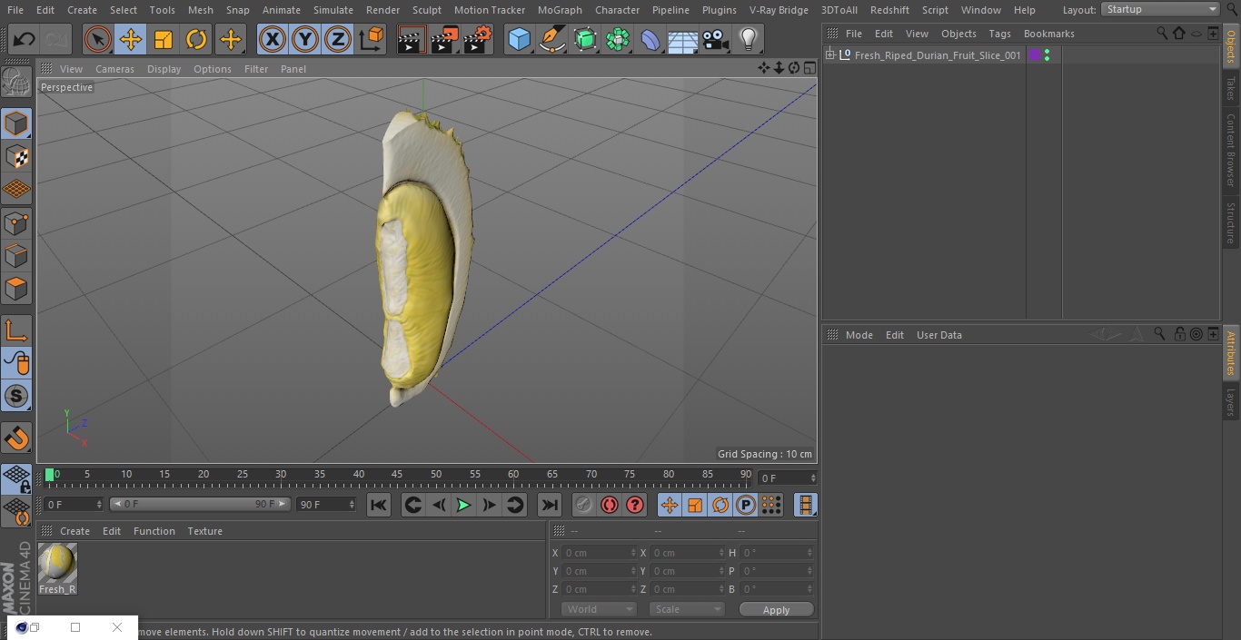 3D model Fresh Riped Durian Fruit Slice