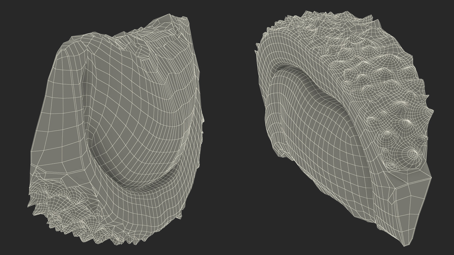 3D model Fresh Riped Durian Fruit Slice