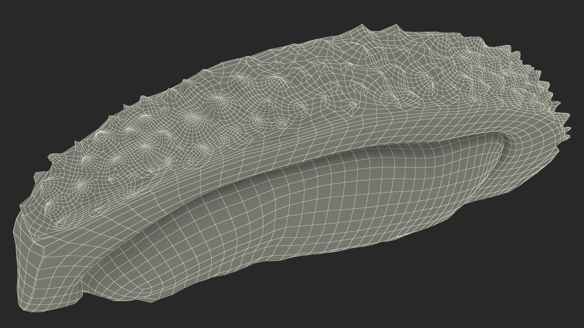 3D model Fresh Riped Durian Fruit Slice